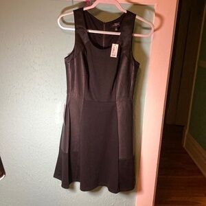 The Limited Black Dress, new with tags
